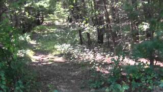 preview picture of video 'Bay Circuit Trail : Rowley MA Prospect Hill. Part 1.'