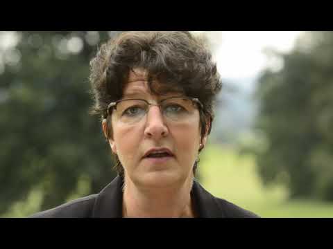 13 Bildungspolitik umsteuern Mehr Praxis