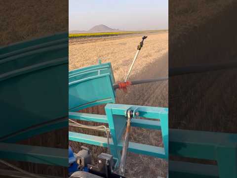 ЩО ВІН РОБИТЬ?😳 #агротехнологии #viral #farming #агро #трактор #farm #tractor #agriculture #фермер