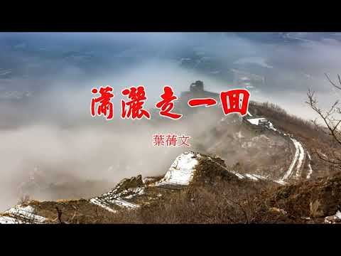 瀟灑走一回-葉蒨文- 伴奏 KARAOKE