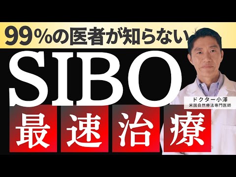 ニンニク不耐症:これが症状の現れ方です 植物