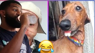 🤣 Try Not To Laugh Challenge | (IMPOSSIBLE 🥵 Part 15) *REACTION*