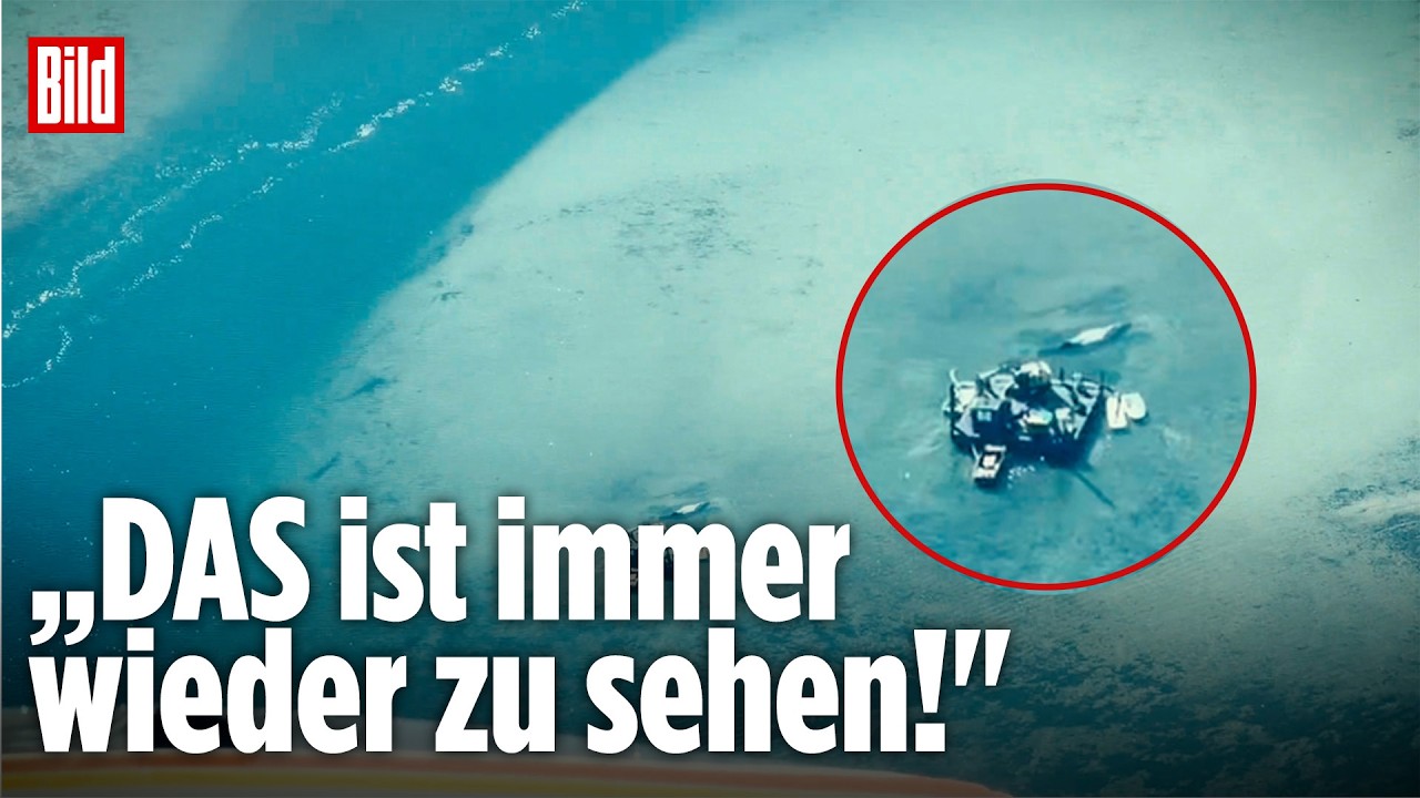 DRAMA UM WAL TIMMY: „Das ist immer wieder zu sehen!" Nun soll der Bagger ran