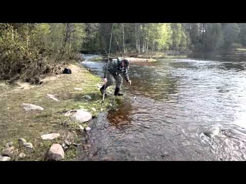 2012-06-02-Sampo_ja_Harjus_Ohtaoja_Iijoki.mp4