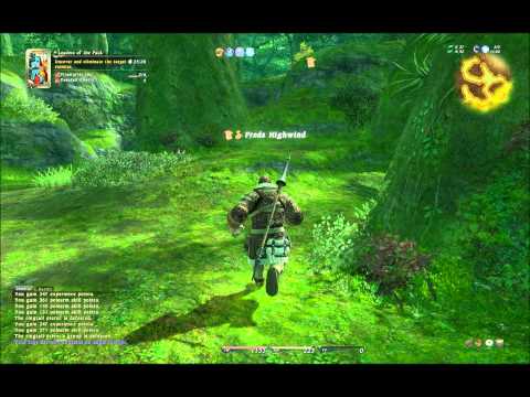 FFXIV Level 20 Leve Leaders of the Pack