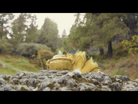 ElHuerfano - Ella Es Iyalode (Video Oficial)