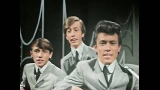 The Bee Gees - Wine &amp; Women