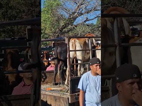 Santiago Nonualco, La Paz Este, El Salvador