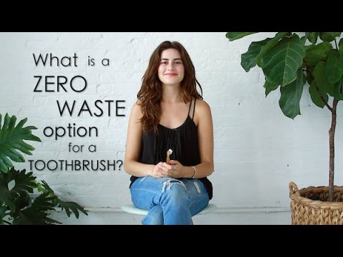 Zero waste plastic toothbrushes