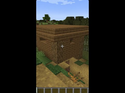 moment's Lab of Minecraft - Witch Hut mixed in Villager Houses | Minecraft Seed