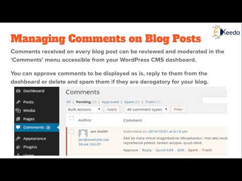 The Ultimate Guide To Blogging Everything You Need To Know