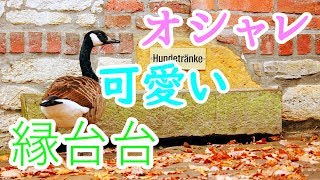 【新築でDIY生活】#1 お洒落な家に必須の縁台台とは!?