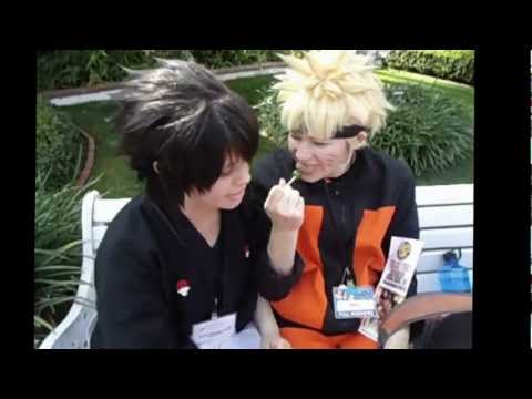 Lollipop Distractions