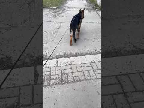 Benův boj o každý krok