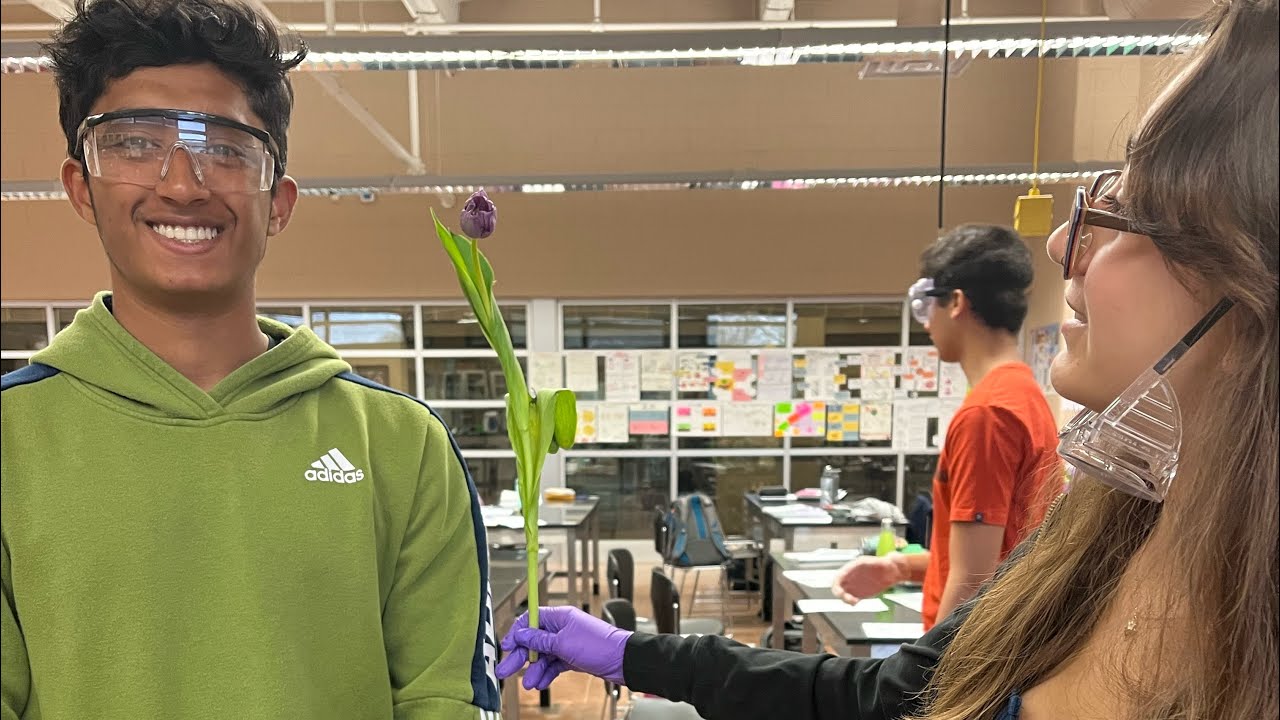 a day in the life of a biotechnology high school student