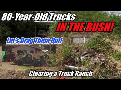 Dragging Truck Treasure Out Of The Bush!