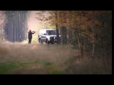 Darz Bór odc. 121 - III Wielkie Łowy Borów Dolnośląskich cz.1