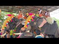 Thrissur Pooram 2022 Part 1 Pooram ThrissurPooram Thrissur Kerala Festival Elephant