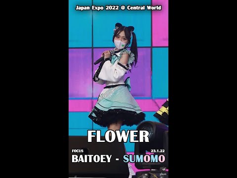 ✨ Flower - Sumomo [Baitoey Focus] ✨
