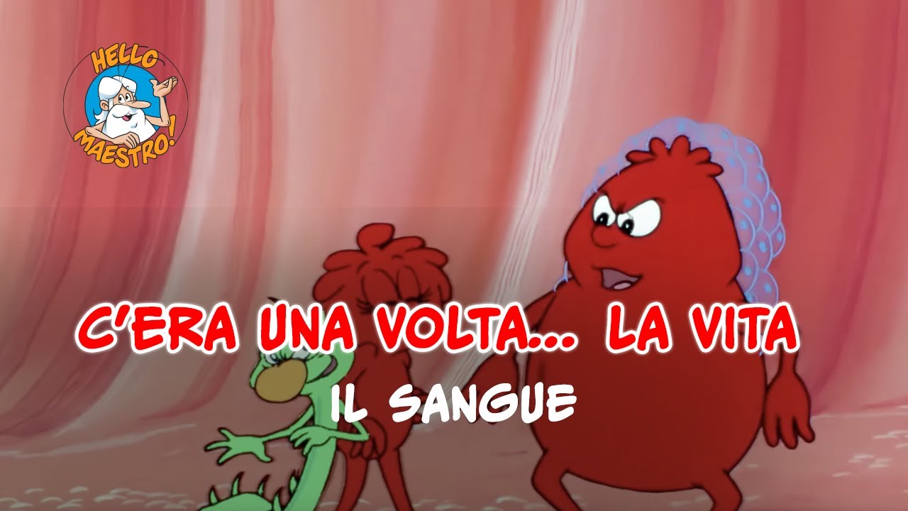 Siamo fatti così... la vita 🌱- Il sangue 💉