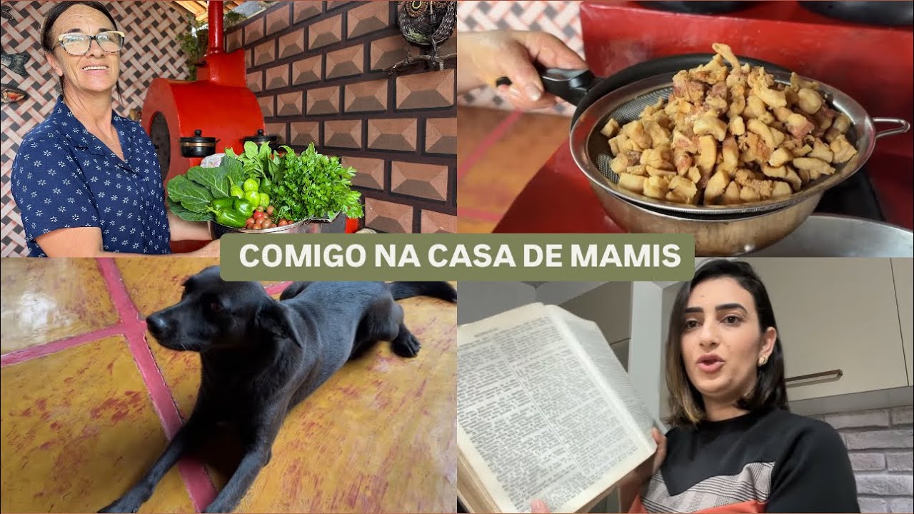 Colheita do dia| torresmo caseiro| palavra abençoada e mais | LAÍS VELOSO