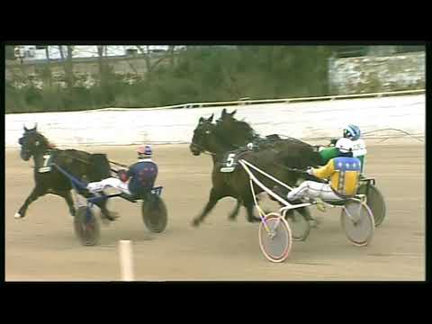 Trotto 31/01/2020 - 1ª corsa