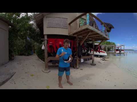 Gombessa IV Genesis - Episode 21