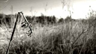 Leaving Me Behind  - dedicated to the homeless (Nick Drake Cover)