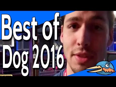 Best of Dog - One Year of Woof