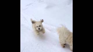 Pralognan 2014 - Ithaque