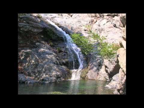 SiShiVa - Bouncing Echos //Forestpsy//