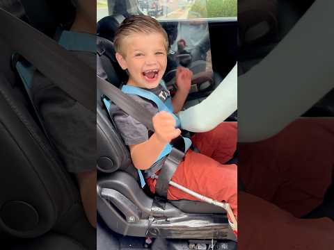 EZ-ON Car Seat Harness