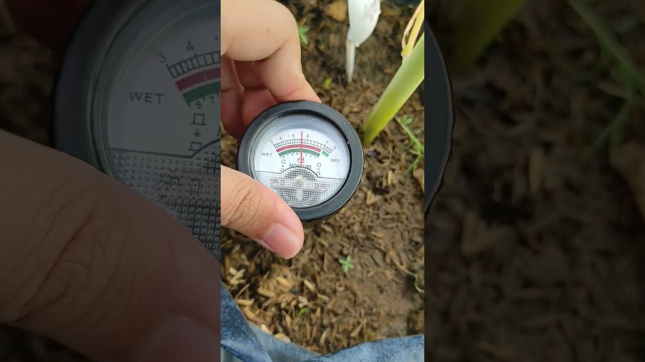 soil pH meter. https://shope.ee/4VF7ha7pDm #pH #soil #AgriNature #malaysia