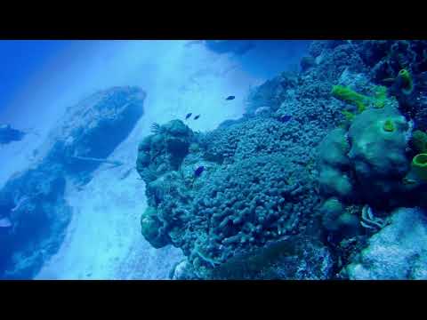 Cozumel Mexico Columbia Reef Scuba diving pt 3