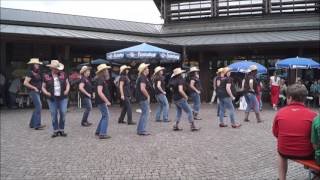 Achy Breaky Heart -  Line Dance