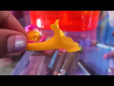 Different parts of a complete flower