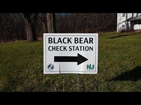NJ Black Bear Hunt Latest