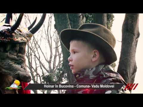 Hoinar in Bucovina Comuna Vadu Moldovei