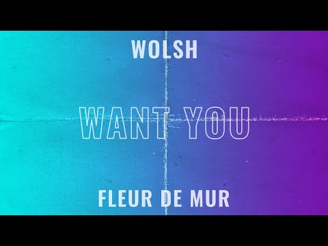 Wolsh , Fleur De Mur - Want You (Lyric Video)