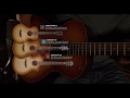Breedlove Guitars: The Play Style System