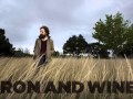 Iron And Wine Love Vigilantes Lyrics