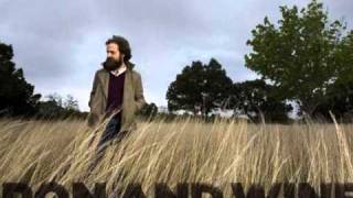 Iron and Wine - Love Vigilantes lyrics