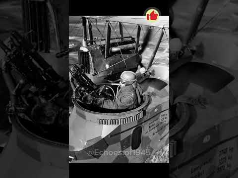 World War II in 6 Real Scenes | Rare WWII Footage