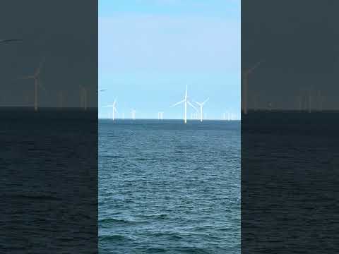 So many windmills! #travel #belgium #windmill #energy