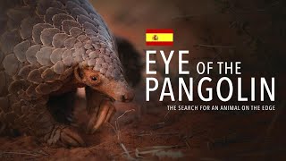 EL OJO DEL PANGOLÍN. Español. La Película Oficial [HD].
