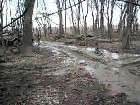 Yamaha Rhino  vs   Rincon