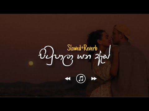 Pitupala Yana As - පිටුපාලා යන ඇස් (Slowed+Reverb)