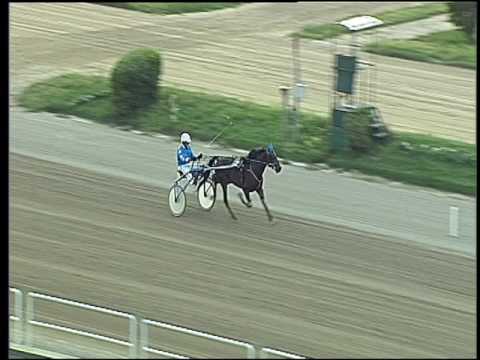 Trotto 23/06/2016 - prova di qualifica e riqualifica