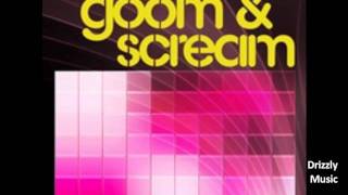 Stereoliner - Goom & Scream (Fiberglas Records / Drizzly Music) House/Electro