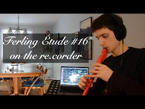 Ferling #16 on the re.corder